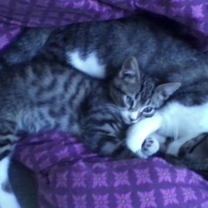 Meet your Posher, Kelly